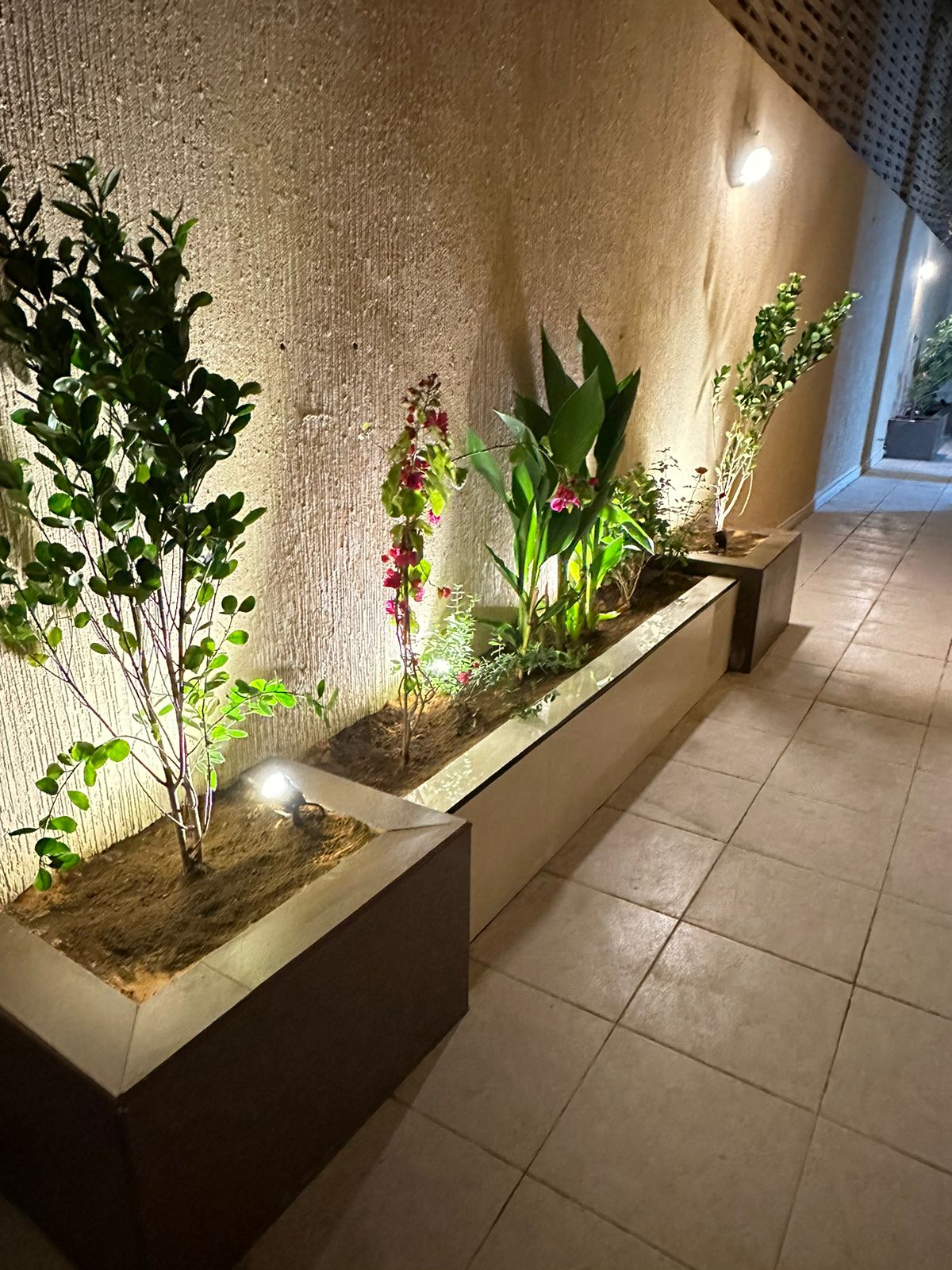 تنسيق حدائق جدة (37)